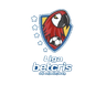 Liga Nacional
