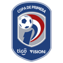 Division Profesional - Apertura