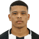Vinícius Lopes da Silva