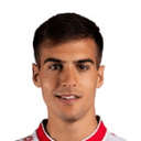 V Nikolov