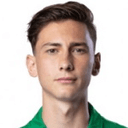 D Mitrovski