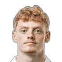 M Agnarsson