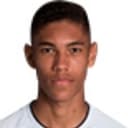 Vinicius Balieiro Lourenco De Carvalho