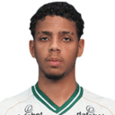 Thalisson Gabriel Pereira Moreira