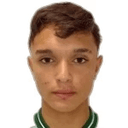 Vitor Gonçalves Tissi