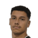 Enzo Henrique dos Santos